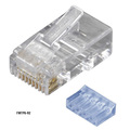 Black Box Cat6 Modular Plugs, Rj-45, 50-Pack FMTP6-R2-50PAK